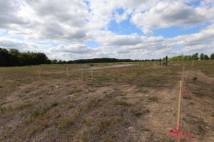 Homesite