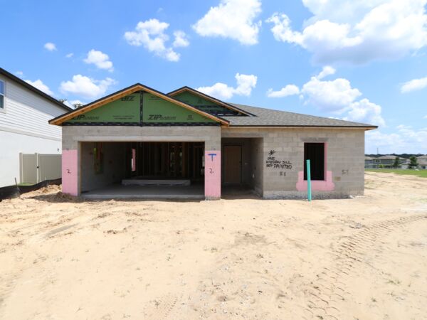 Back Exterior