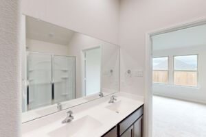 Owner's Bathroom