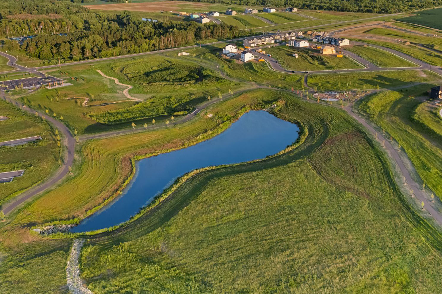 Amber Fields - Alder Glen