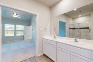 Owner's Bathroom