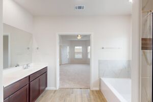 Owner's Bathroom