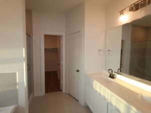 Owner's Bathroom
