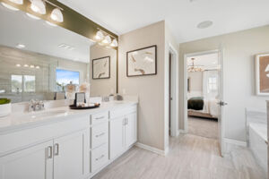 Owner's Bathroom
