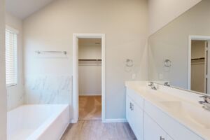 Owner's Bathroom
