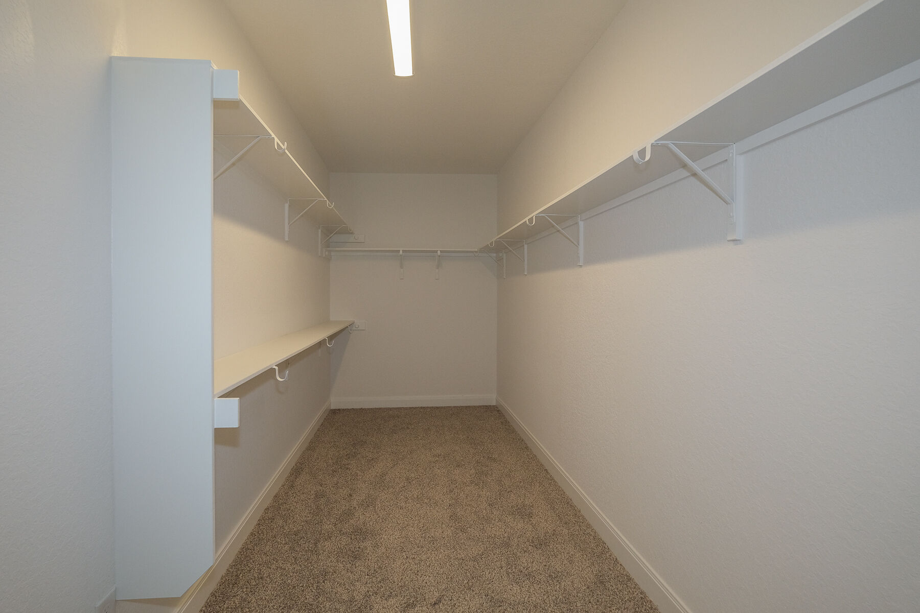 Owner's Closet