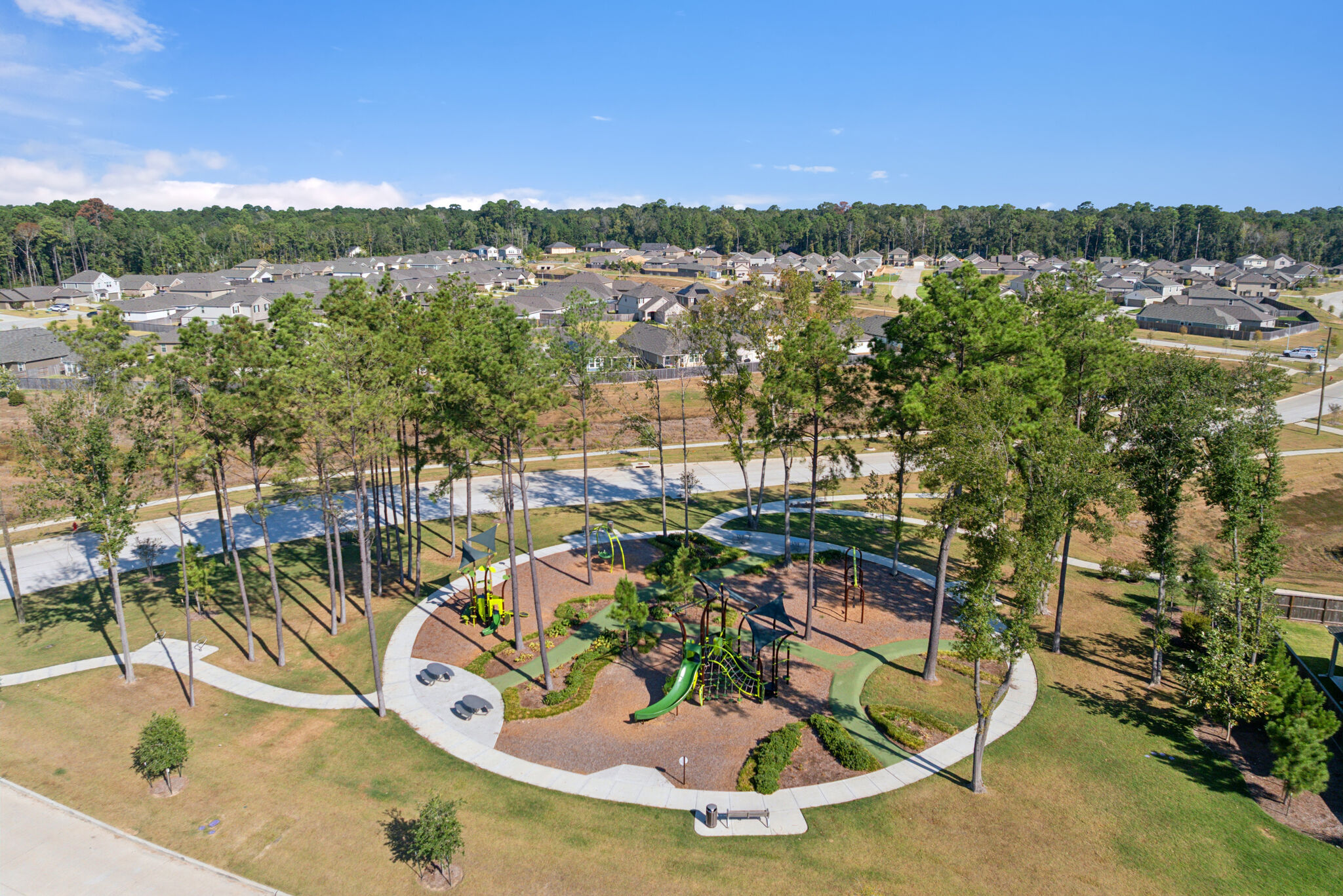 Pinewood at Grand Texas