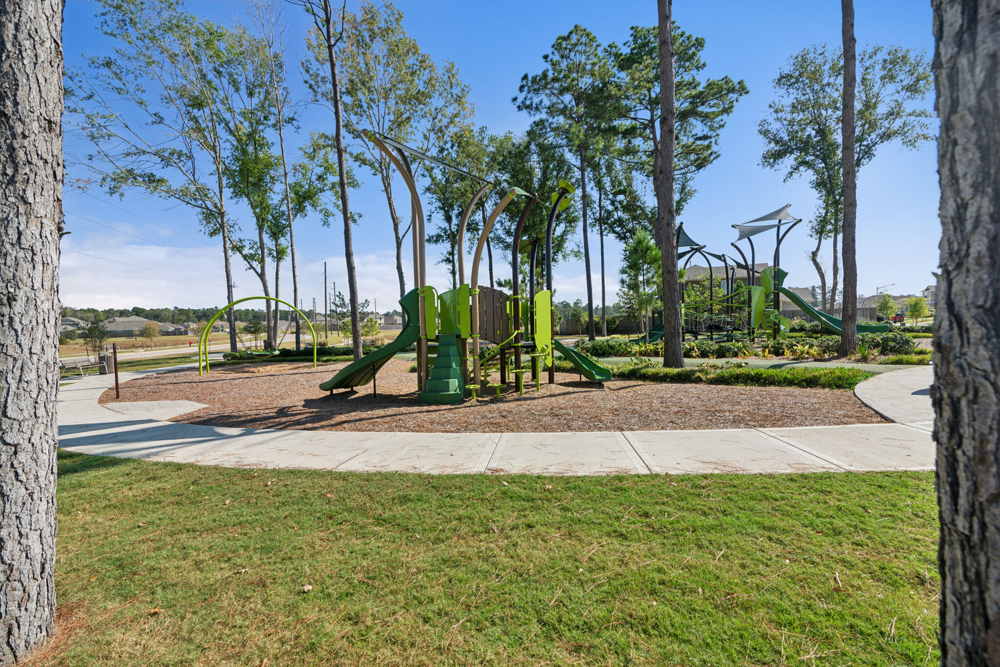 Pinewood at Grand Texas