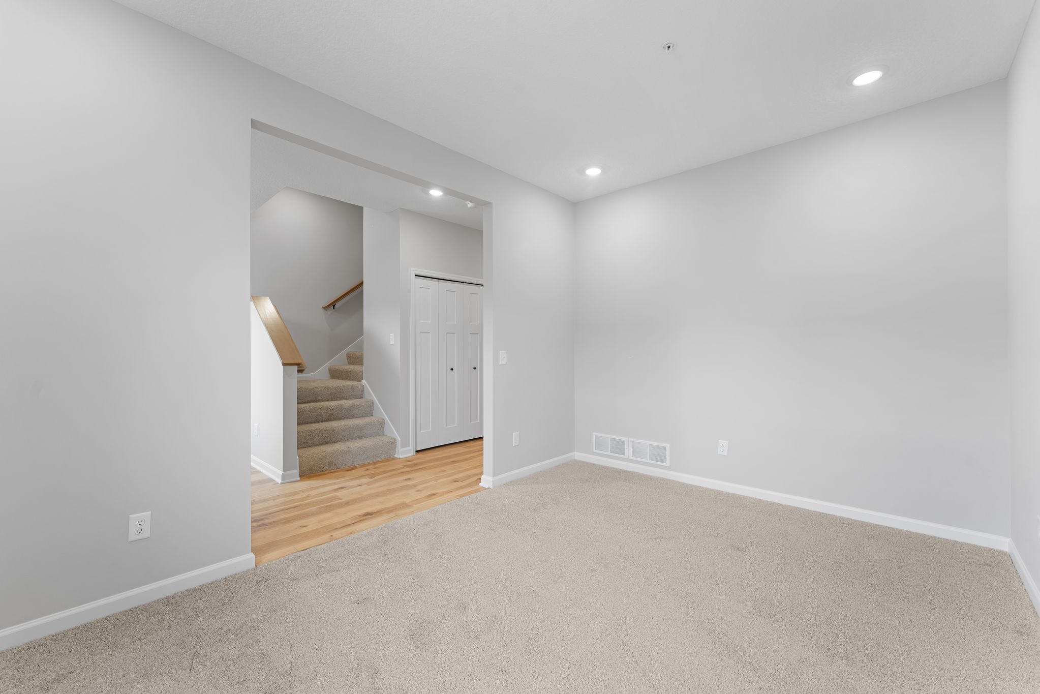 Lower Level Recreation Room