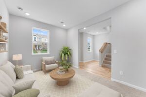 Lower Level Recreation Room