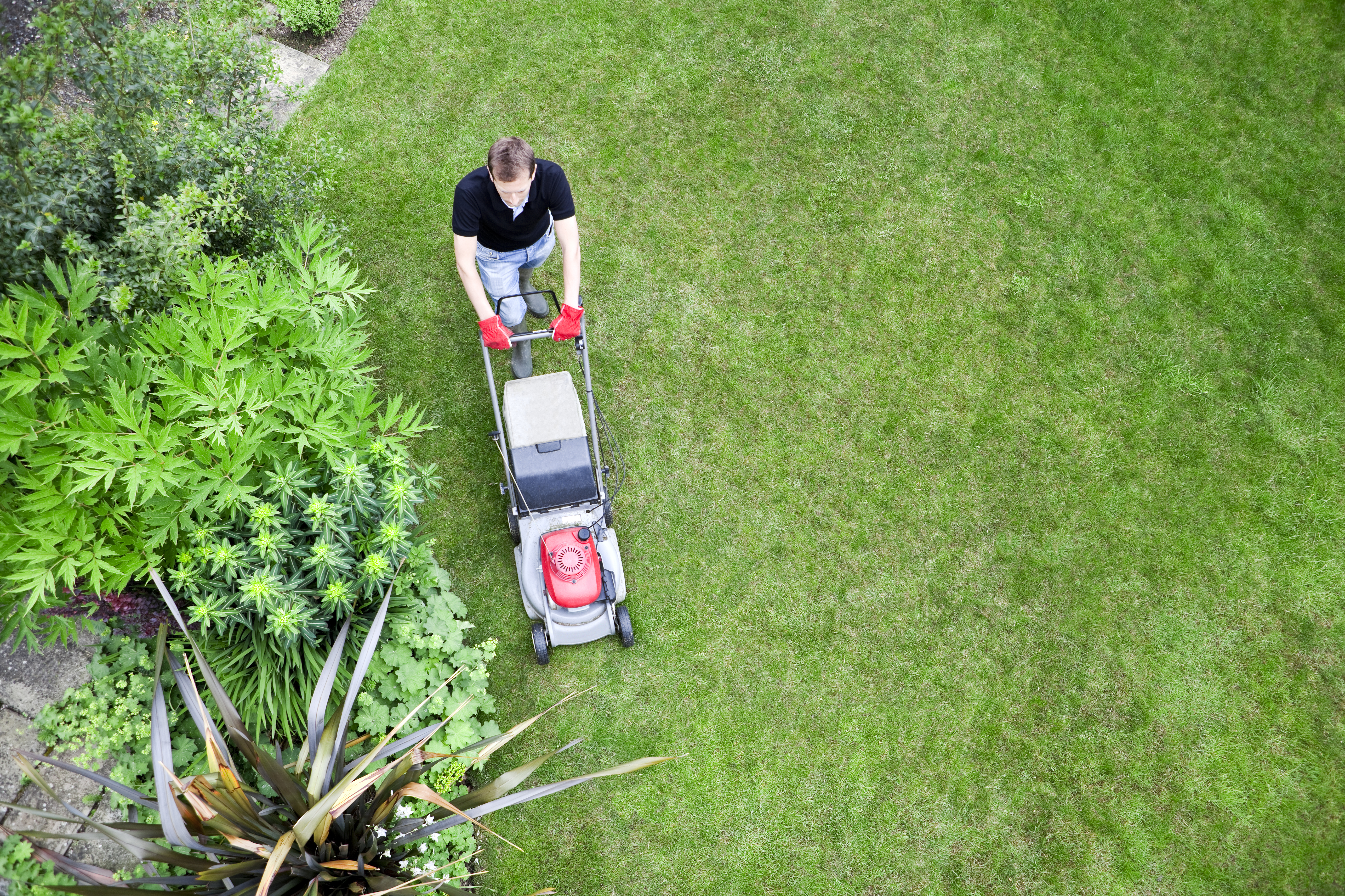 Person Mowing Lawn