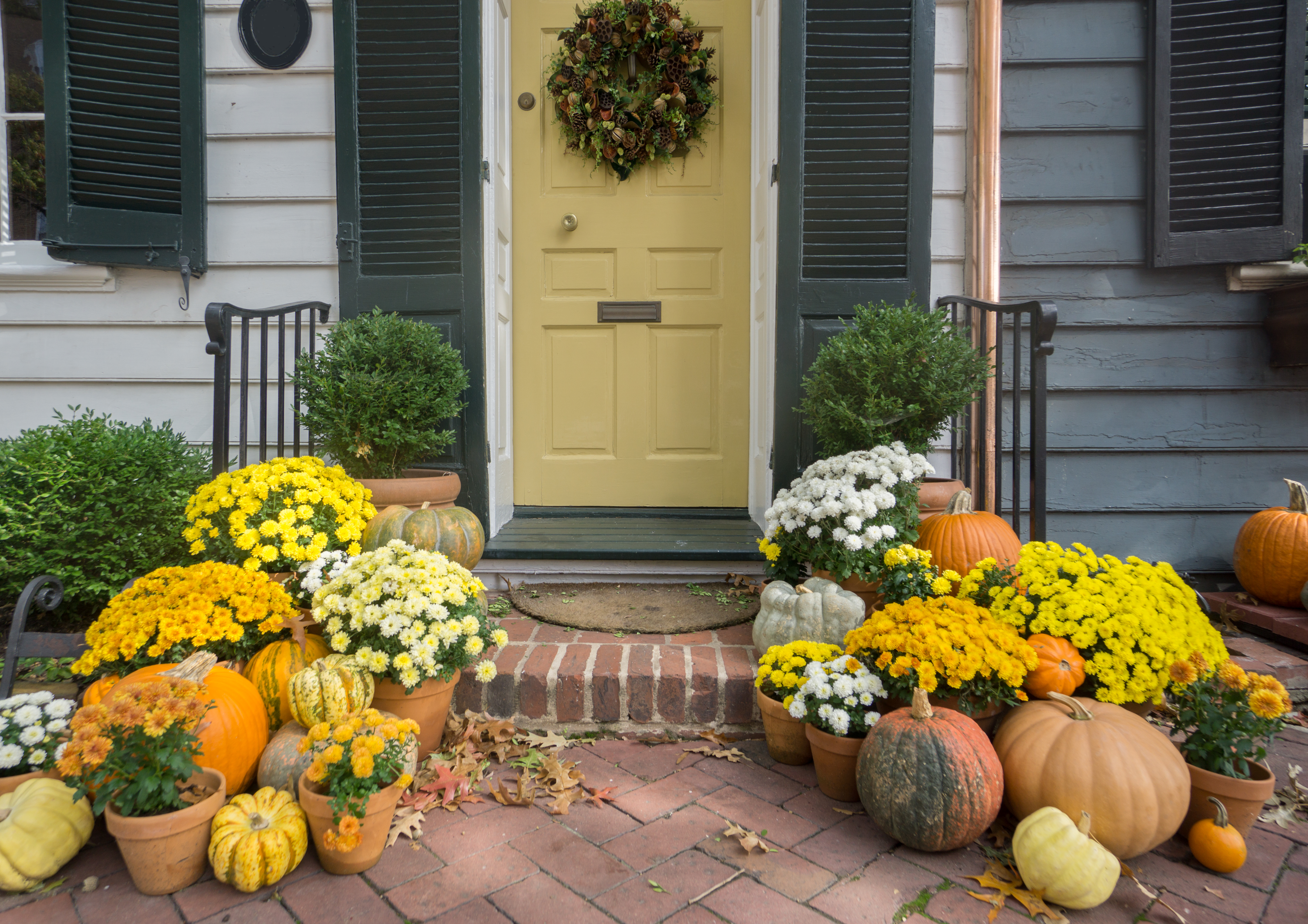 Front Porch With Yellow Door, Mums, and Pumpkins