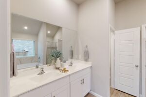 Owner's Bathroom