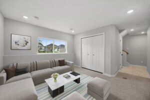 Lower Level Recreation Room