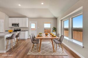 Virtual Representation