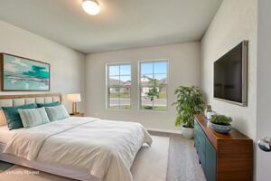 Virtual Representation