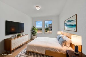 Virtual Representation