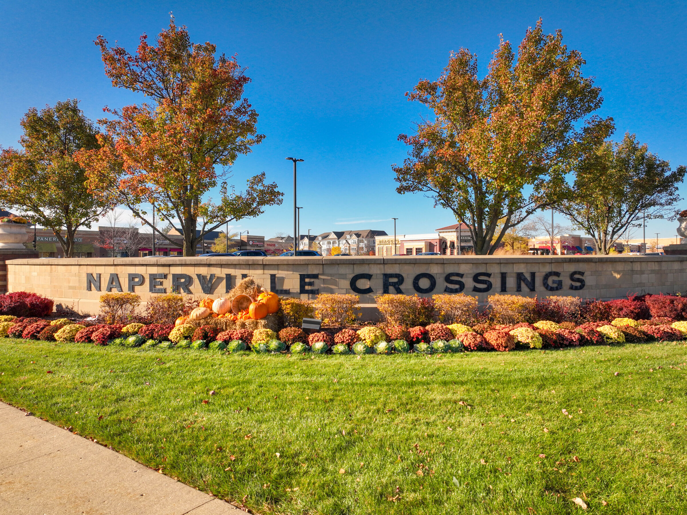 Everly Trace of Naperville