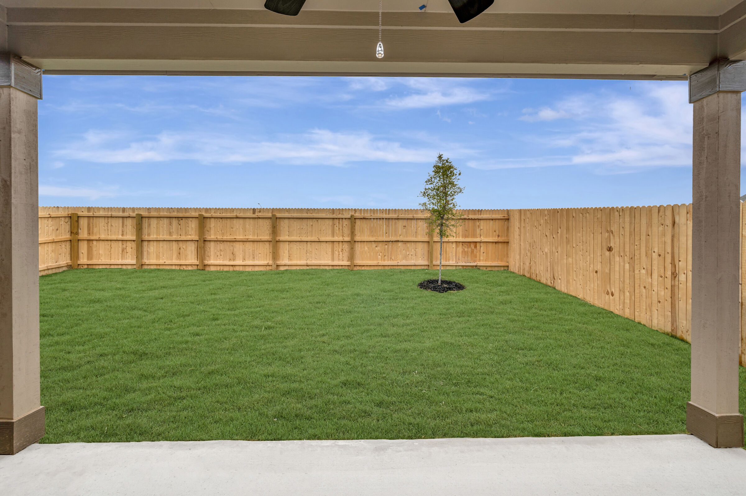 Backyard