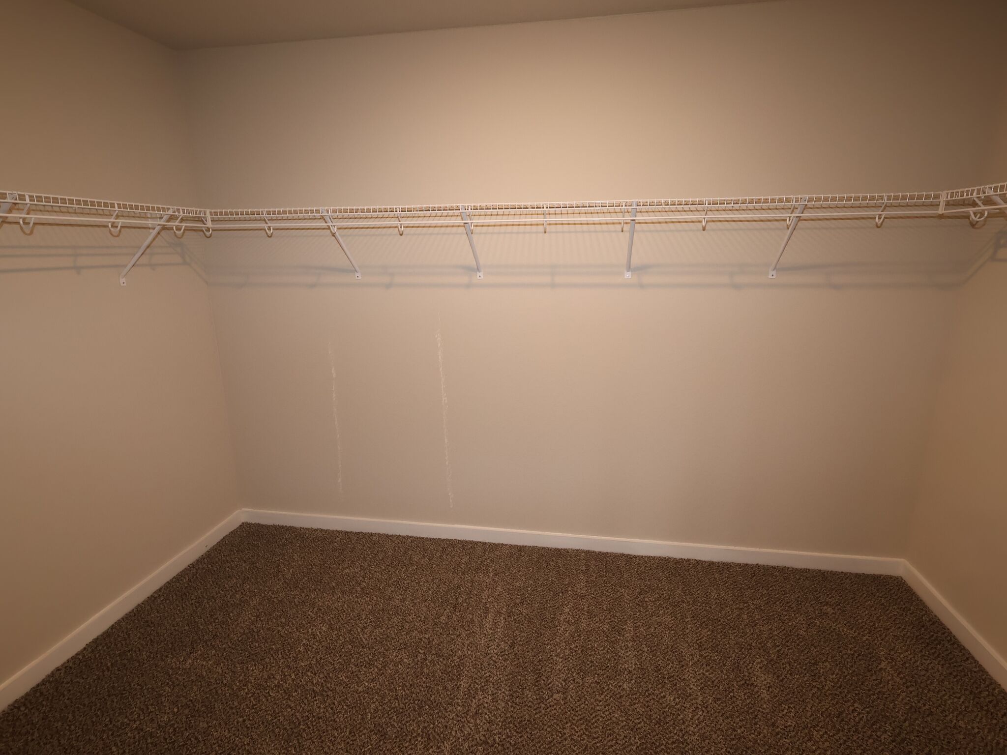 Owner's Closet