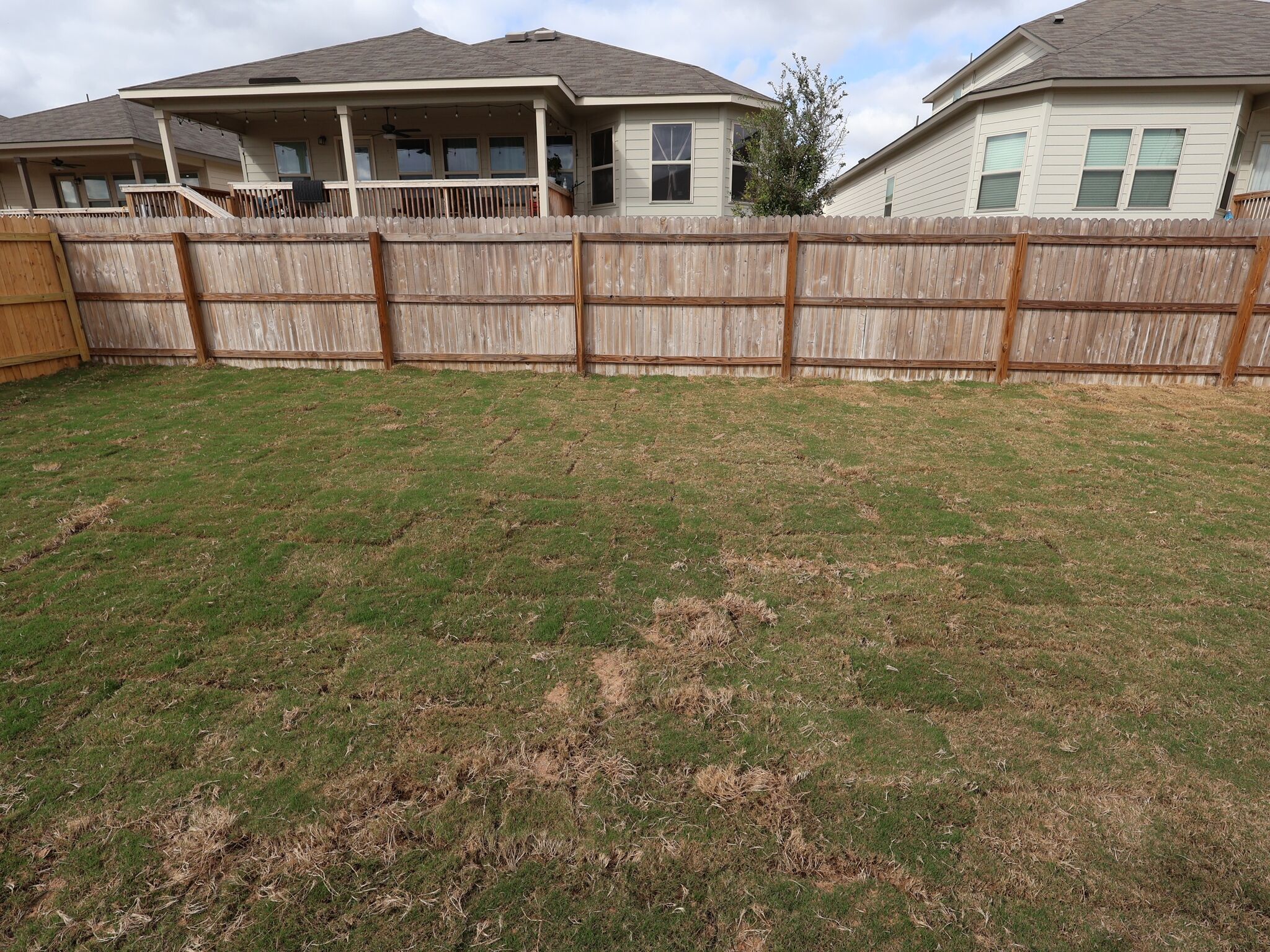 Backyard