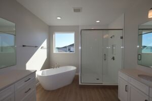 Owner's Bathroom