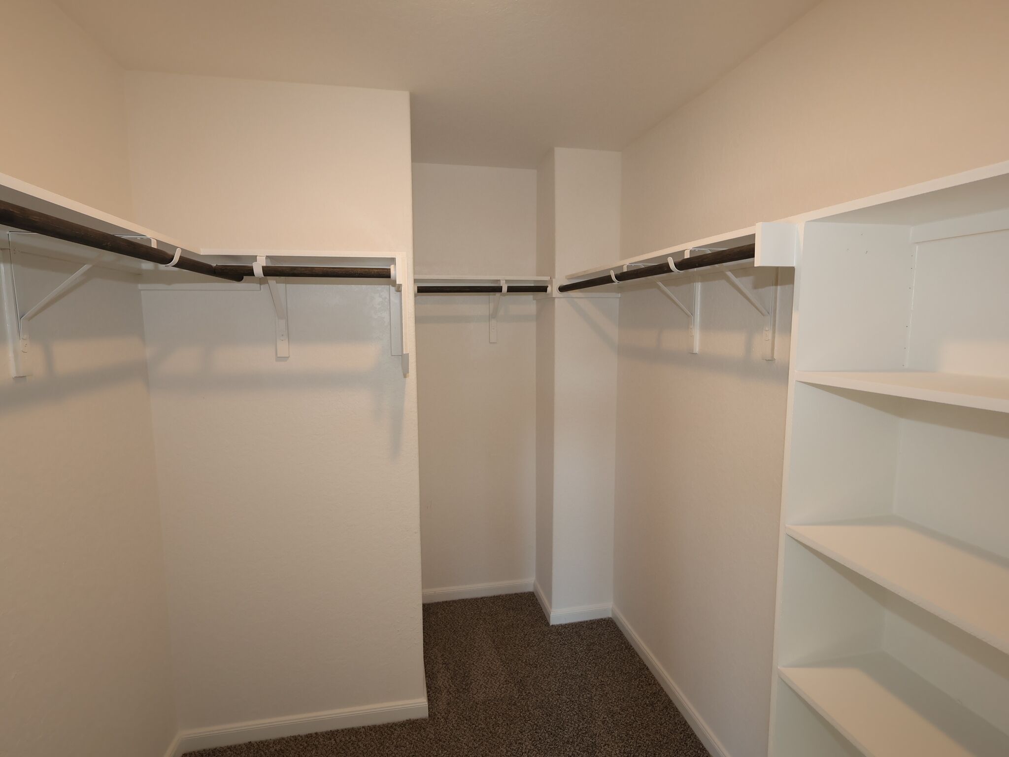 Owner's Closet