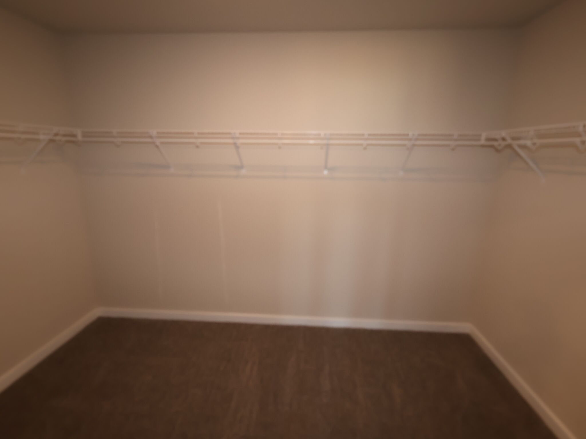 Owner's Closet