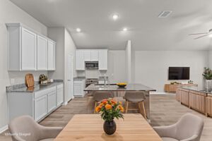 Virtual Representation