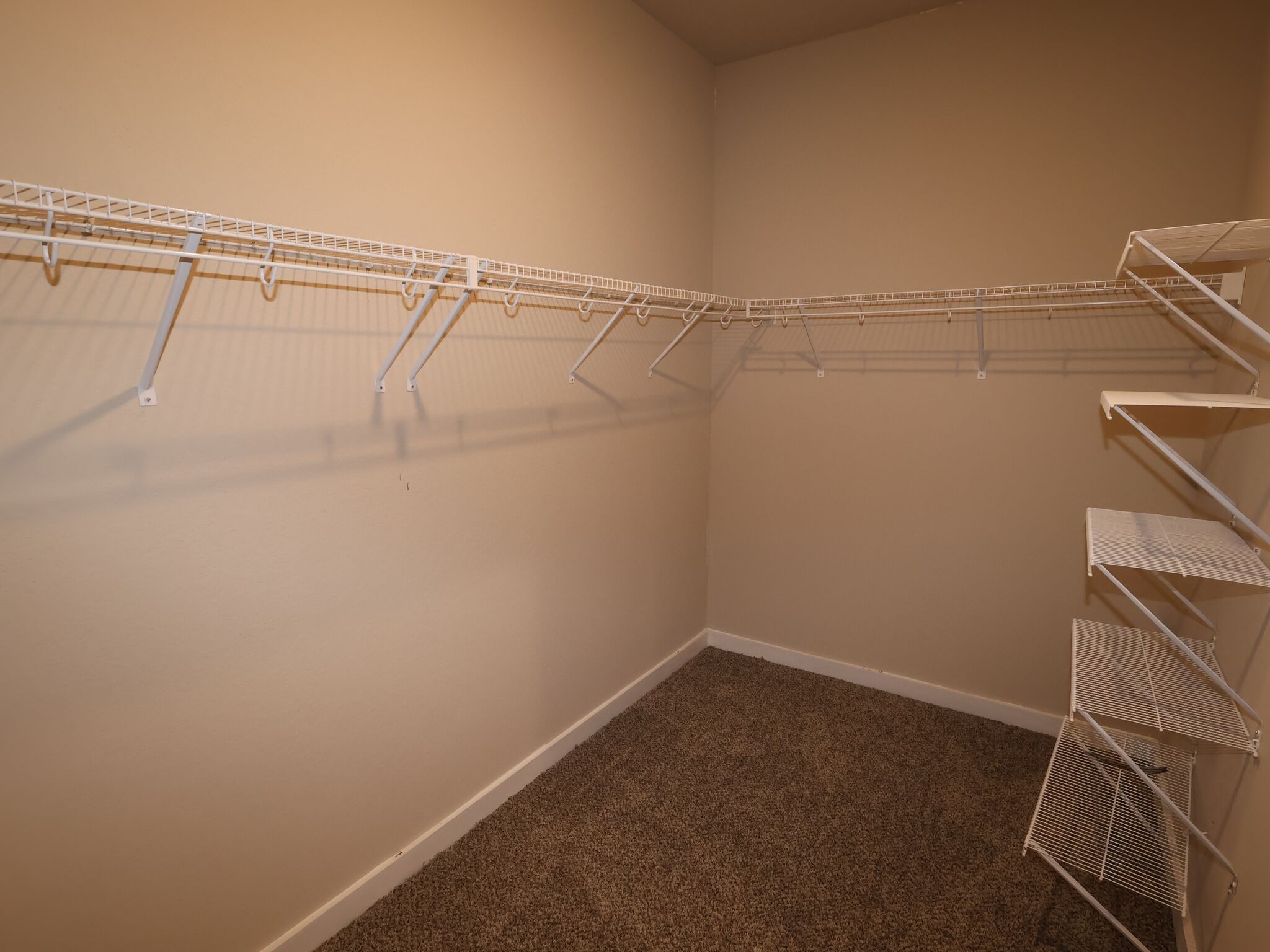 Owner's Closet