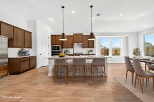 Virtual Representation