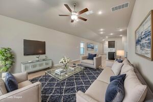 Virtual Representation