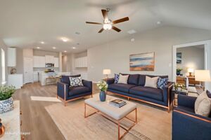 Virtual Representation