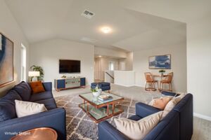 Virtual Representation