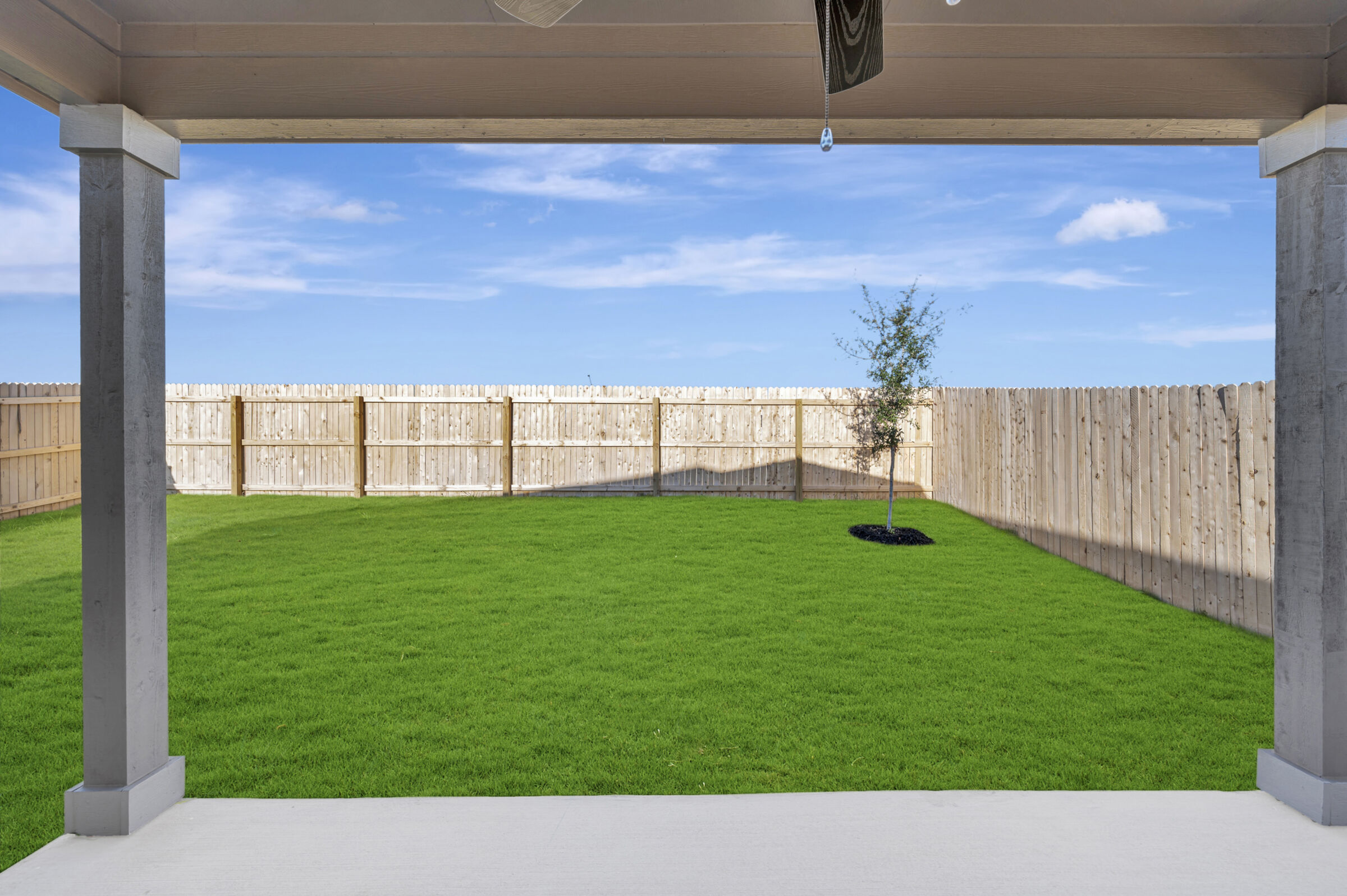 Backyard
