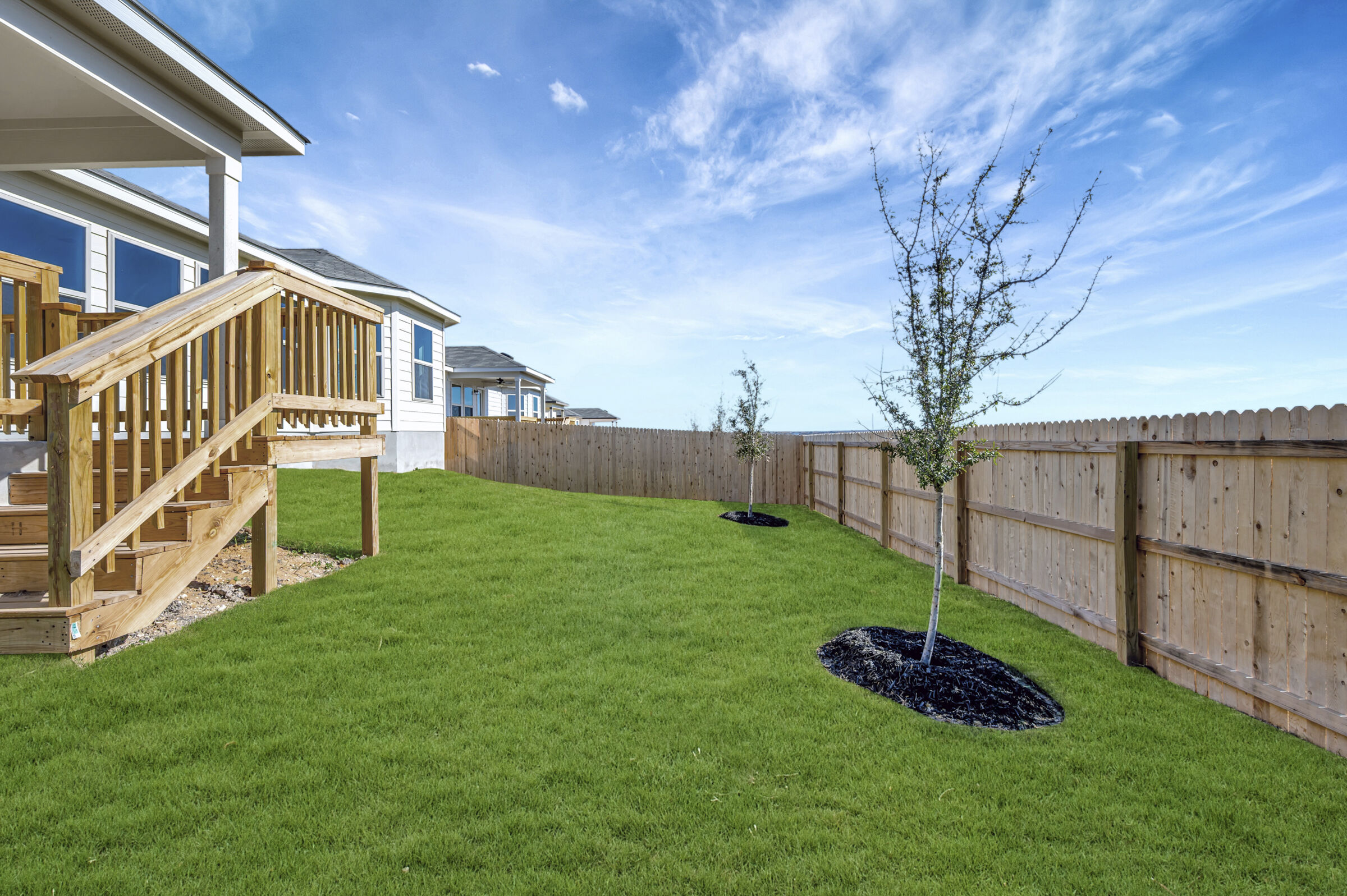 Backyard