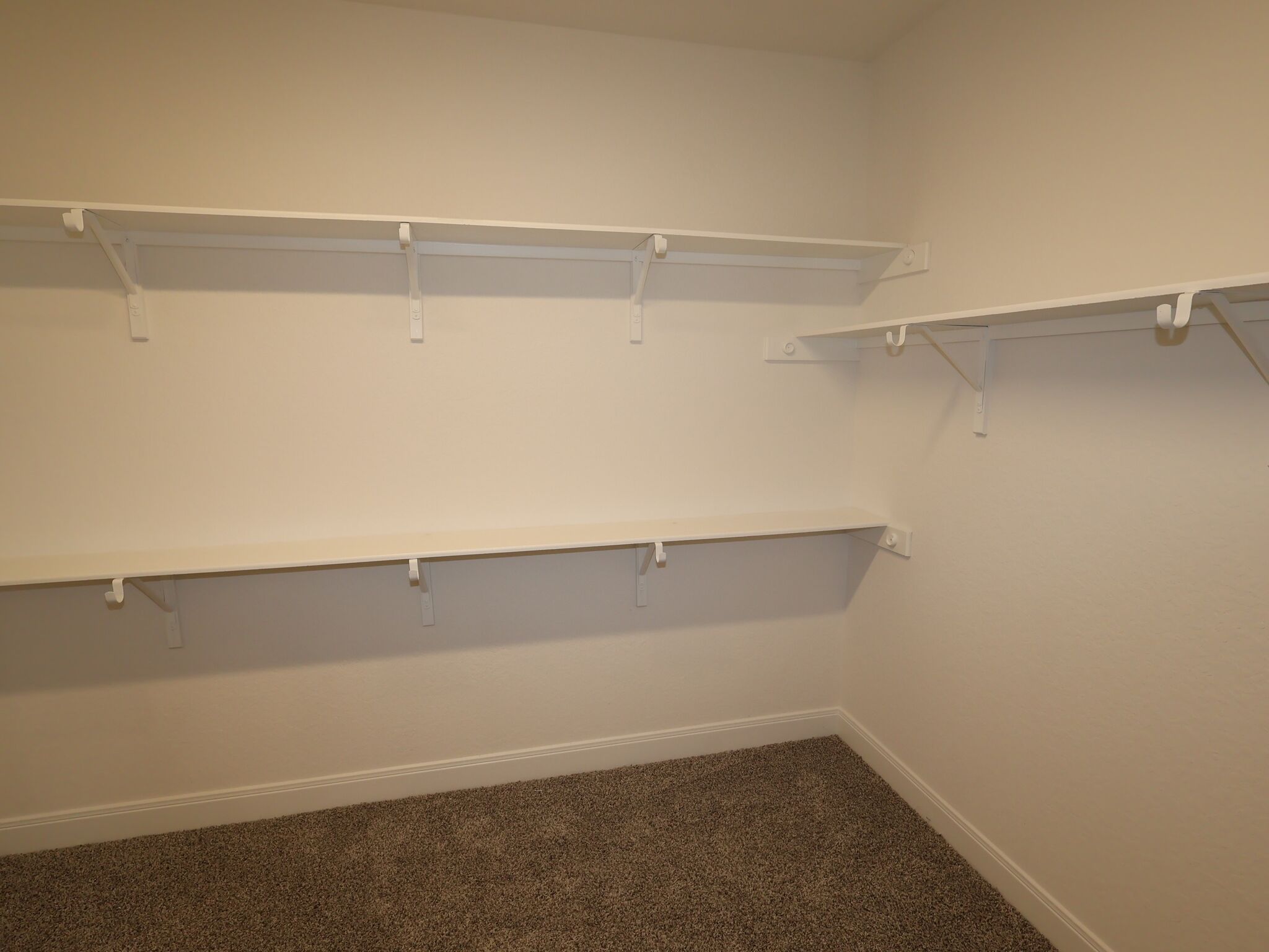 Owner's Closet
