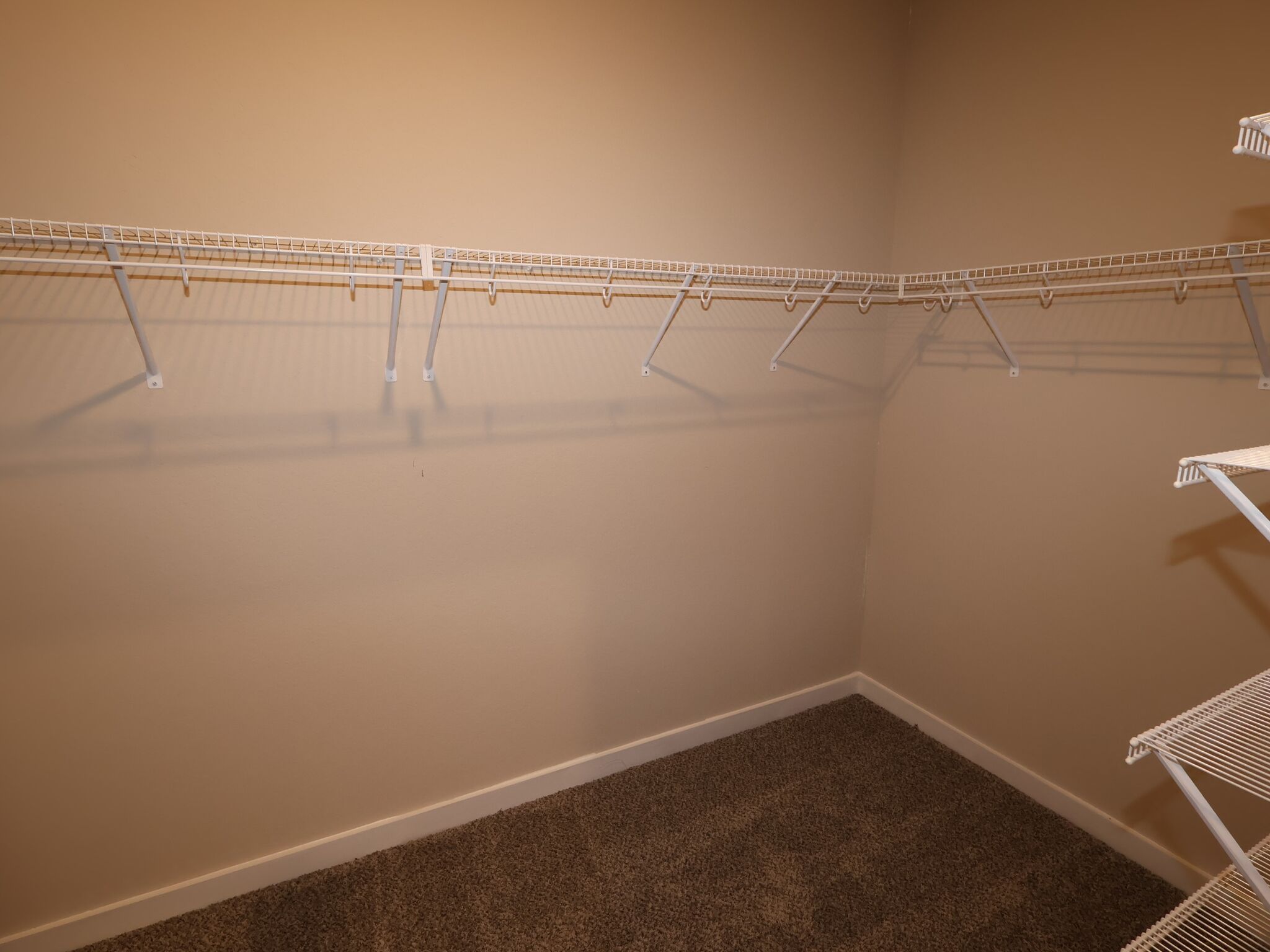 Owner's Closet