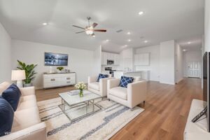 Virtual Representation