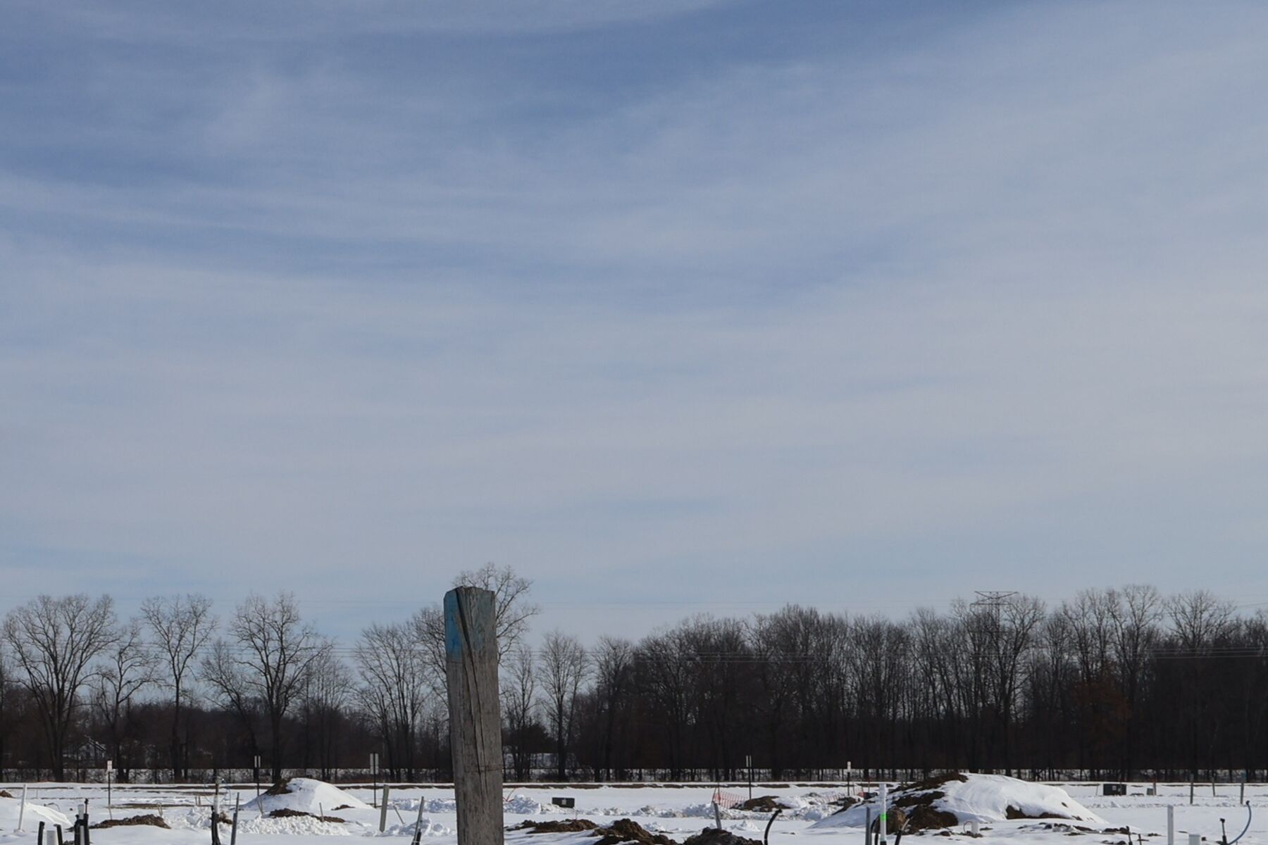 Homesite