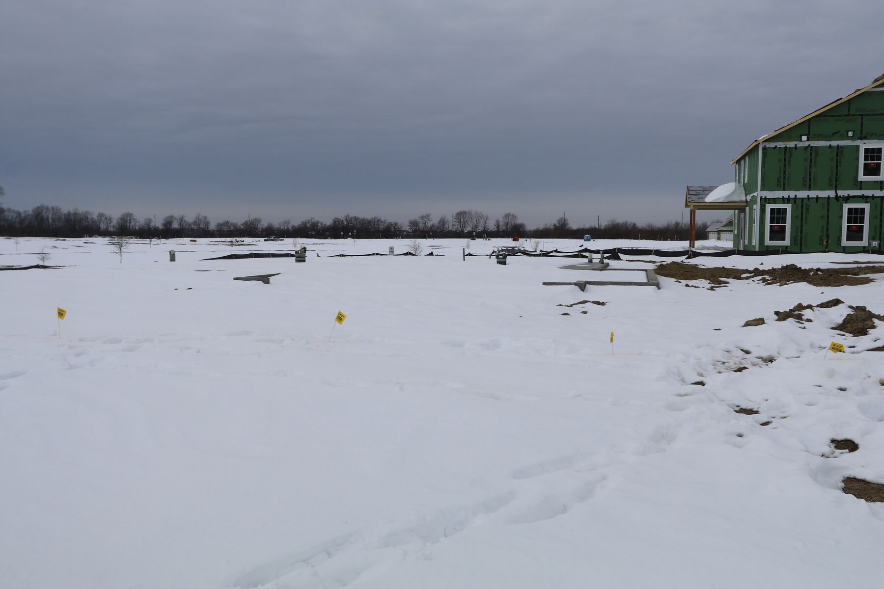 Homesite