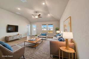 Virtual Representation