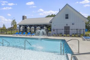 Amenity Representational