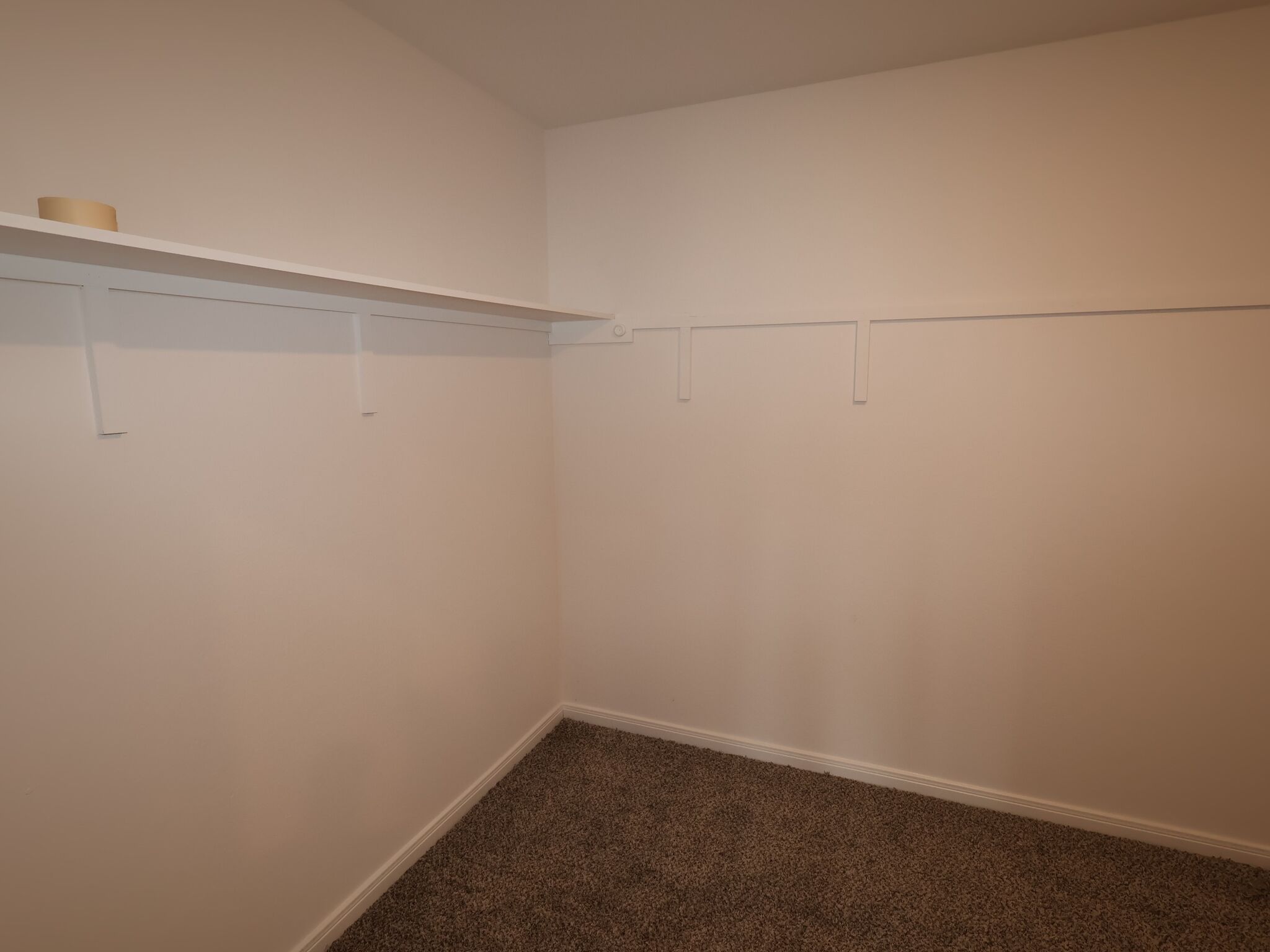 Owner's Closet