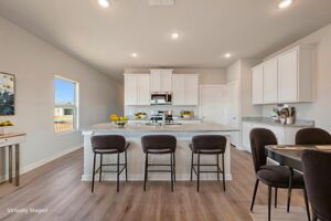 Virtual Representation