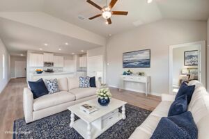 Virtual Representation