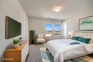 Virtual Representation