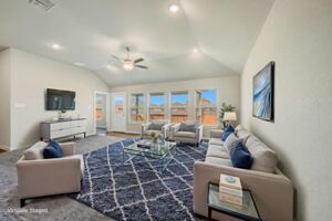 Virtual Representation