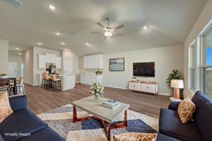 Virtual Representation