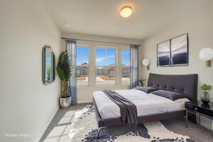 Virtual Representation